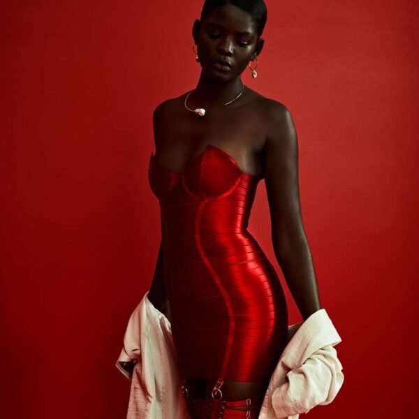Платье Красной Анжелы от бренда 1ТП9Т. Это изделие состоит из более чем 150 атласных эластичных материалов и 24-каратного золота с позолоченными застежками, регулировками, ремнем подвязки и застежкой. Платье изготовлено из накопленных эластичных материалов, которые формируют тело, и эластичных материалов, которые имитируют форму ремня. Для спины, молния присутствует все время платье с кольцами с обеих сторон закрытия для корсетного эффекта.