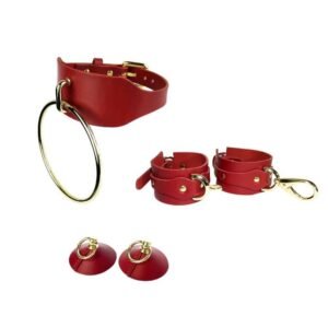 Комплект, состоящий из красных наручников, красного чокера с 24 кольцами, красных сосков в форме конусов с 24 кольцами у бригадного монтера